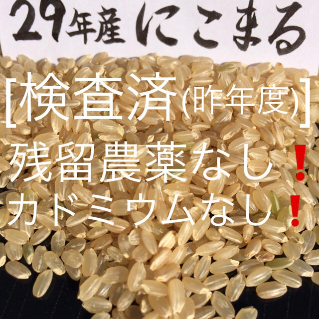 くろむ様専用 29年産玄米5kgにこまる(5分づき) 食品/飲料/酒の食品(米/穀物)の商品写真