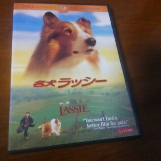 ラッシーDVD(キッズ/ファミリー)