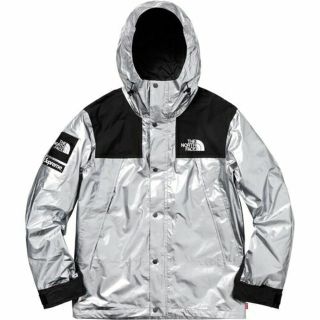 シュプリーム(Supreme)のsupreme the north face mountain parka L (マウンテンパーカー)