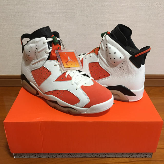 NIKE(ナイキ)のラスト1点 新品 29cm jordan 6 ゲータレード  メンズの靴/シューズ(スニーカー)の商品写真