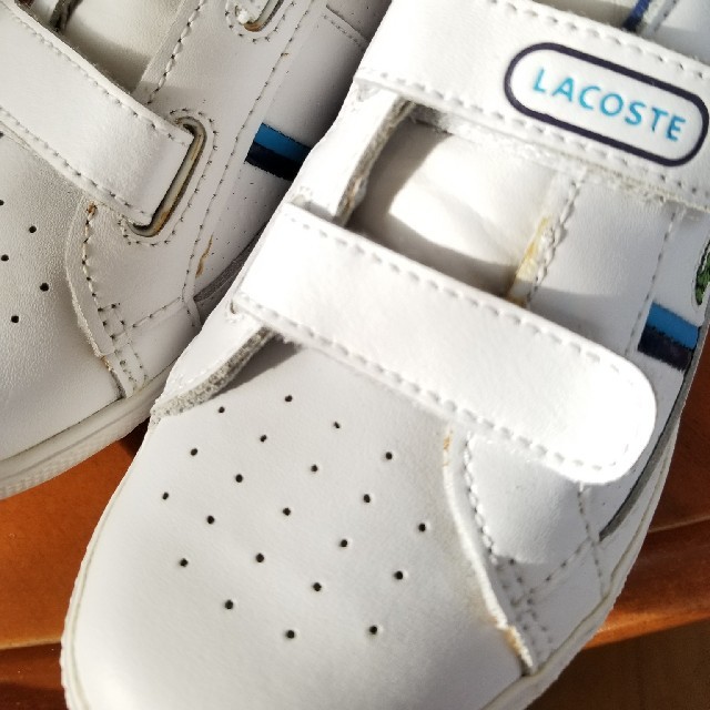 LACOSTE(ラコステ)の新品　未使用☆ラコステ　ジュニア　スニーカー　シューズ　17.5 キッズ/ベビー/マタニティのキッズ靴/シューズ(15cm~)(スニーカー)の商品写真