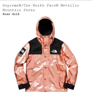 シュプリーム(Supreme)のSサイズ Supreme/The North Face Metallic (マウンテンパーカー)