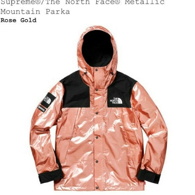 Supreme(シュプリーム)のSupremeTheNorthFaceMetallicMountainParka メンズのジャケット/アウター(マウンテンパーカー)の商品写真