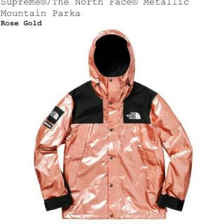 シュプリーム(Supreme)のSupremeTheNorthFaceMetallicMountainParka(マウンテンパーカー)