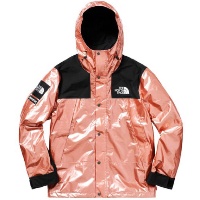 愛用 - Supreme M Parka Mountain Metallic supreme マウンテン ...