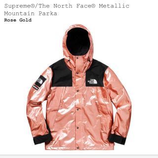 シュプリーム(Supreme)のsupreme The North Face Metallic Jacket M(マウンテンパーカー)