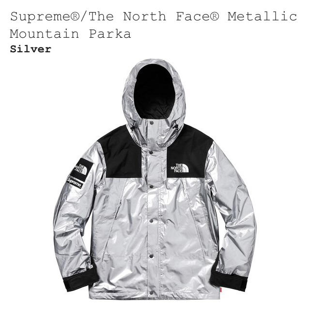 Supreme - (L) The North Face Metalic MountainParka