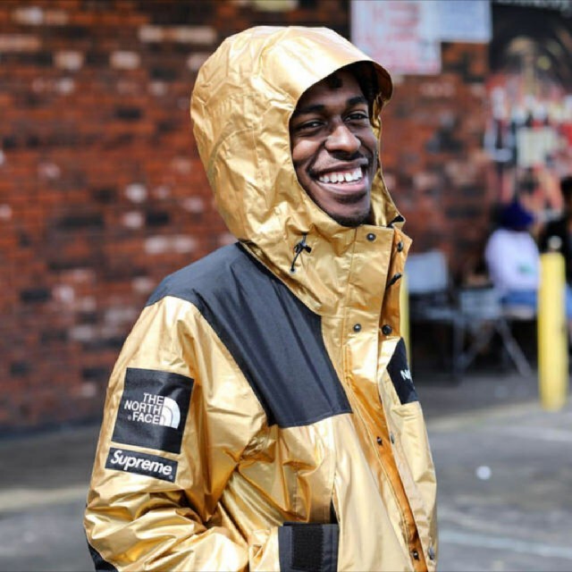 supreme/the north face metallic mountain