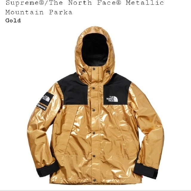 Supreme(シュプリーム)のMetallic Mountain Parka メンズのジャケット/アウター(マウンテンパーカー)の商品写真