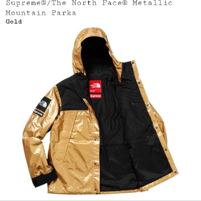 Supreme(シュプリーム)のMetallic Mountain Parka メンズのジャケット/アウター(マウンテンパーカー)の商品写真