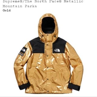 シュプリーム(Supreme)のMetallic Mountain Parka(マウンテンパーカー)