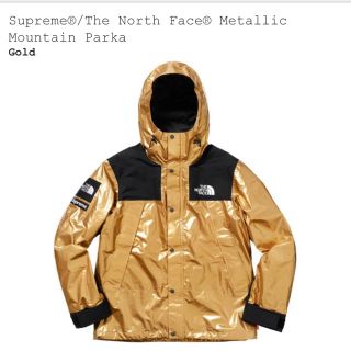 シュプリーム(Supreme)のS Supreme/The North Face Mountain Parka(マウンテンパーカー)