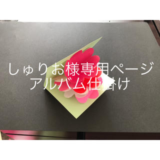 しゅりお様専用ページ  アルバム仕掛け  (型紙/パターン)