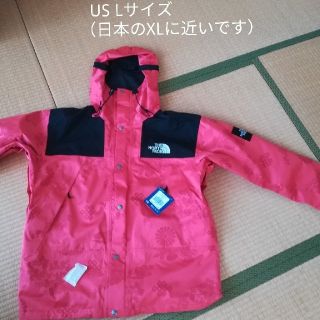 ザノースフェイス(THE NORTH FACE)の【m218さん専用】NordStrom X The North Face(マウンテンパーカー)