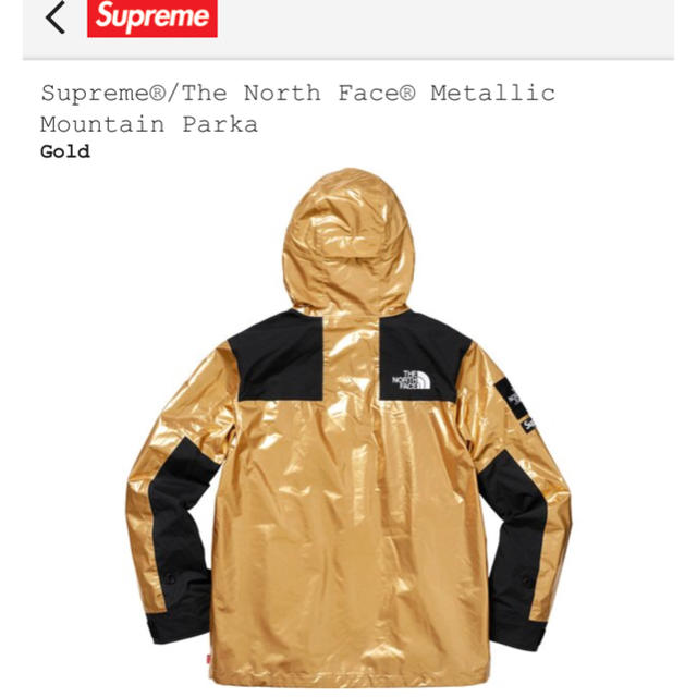 Supreme(シュプリーム)のSupreme®/The North Face® Mountain Parka メンズのジャケット/アウター(マウンテンパーカー)の商品写真