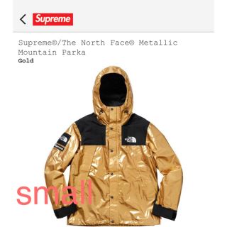 シュプリーム(Supreme)のSupreme®/The North Face® Mountain Parka(マウンテンパーカー)