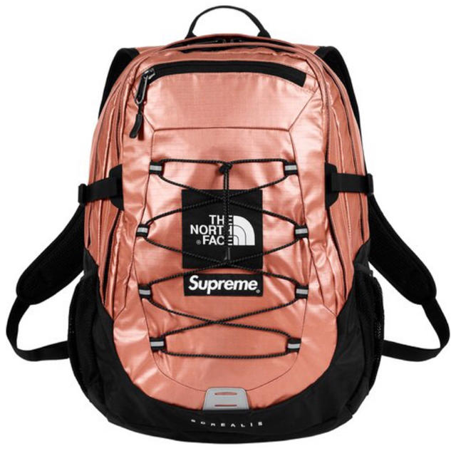 supreme north face metallic backpack
