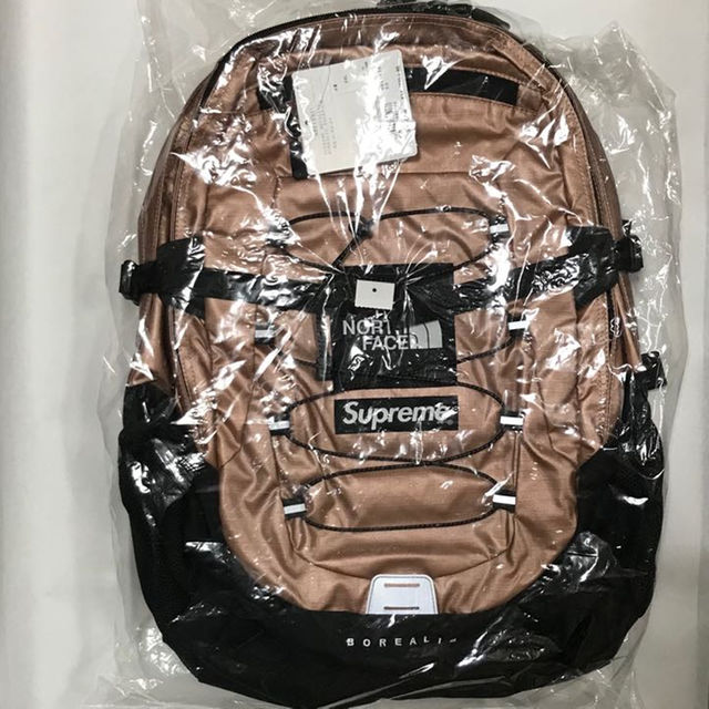 Supreme The North Face Metallic Backpack