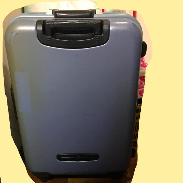 heliuyuri様専用 レディースのバッグ(スーツケース/キャリーバッグ)の商品写真