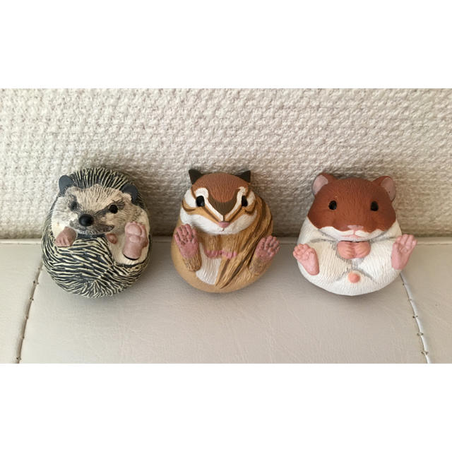 まるまるコロコロ小動物 ガチャガチャ エンタメ/ホビーのおもちゃ/ぬいぐるみ(キャラクターグッズ)の商品写真