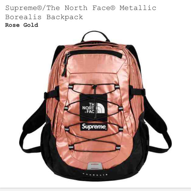 supreme north face backpack