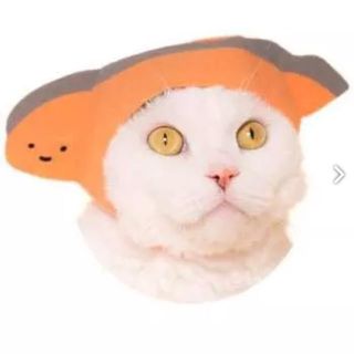 サンリオ(サンリオ)のねこのかぶりもの サンリオ KIRIMI(猫)