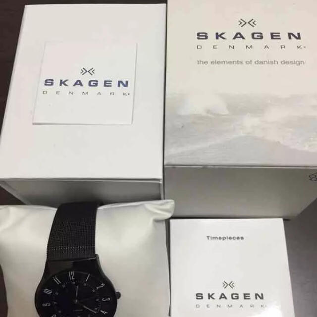 SKAGEN(スカーゲン)のスカーゲン時計 メンズの時計(腕時計(アナログ))の商品写真