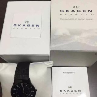 スカーゲン(SKAGEN)のスカーゲン時計(腕時計(アナログ))