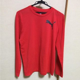 プーマ(PUMA)の美品❗️プーマ 長袖(Tシャツ/カットソー(七分/長袖))