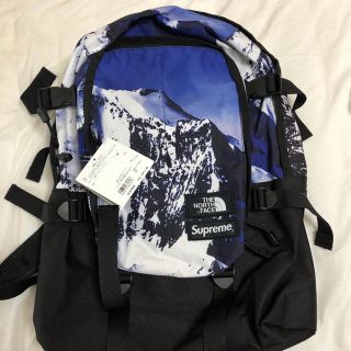 シュプリーム(Supreme)のSupreme THE NORTH FACE Mountain Backpack(バッグパック/リュック)