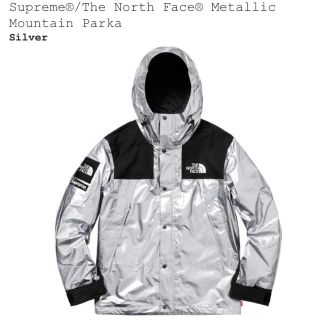 シュプリーム(Supreme)のsupreme the north face mountain parka L(マウンテンパーカー)