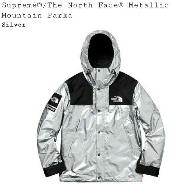 supreme north face mountain parka Mサイズ