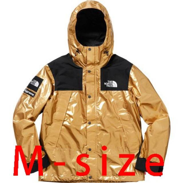 Supreme(シュプリーム)のSupreme The North Face Metallic Mountain メンズのジャケット/アウター(マウンテンパーカー)の商品写真