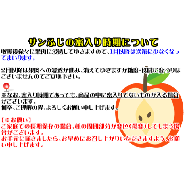 CA貯蔵　サンふじ 家庭用 10kg　小玉　40玉詰　長野県産りんご 食品/飲料/酒の食品(フルーツ)の商品写真