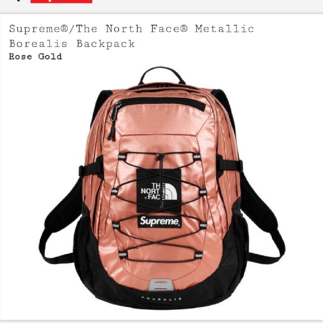 Supreme TNF metallic borealis backpack