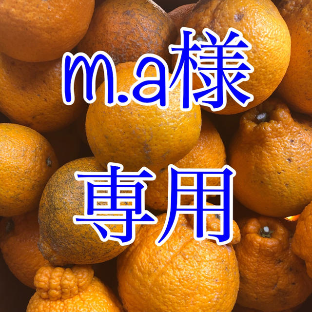 m.a様 専用 不知火 20kg  食品/飲料/酒の食品(フルーツ)の商品写真