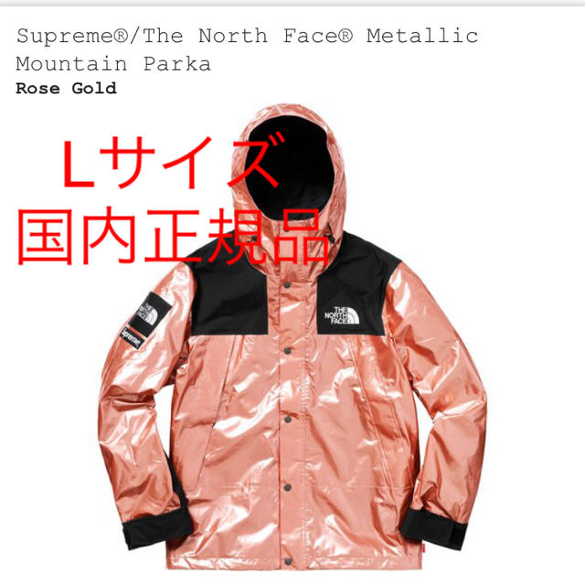 Supreme(シュプリーム)のSupreme The North Face Mountain Parka L メンズのジャケット/アウター(マウンテンパーカー)の商品写真