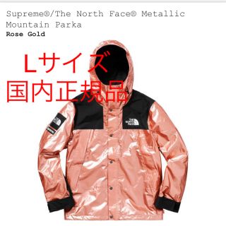 シュプリーム(Supreme)のSupreme The North Face Mountain Parka L(マウンテンパーカー)