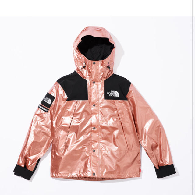 Supreme(シュプリーム)のSupreme north face mountain jacket rose メンズのジャケット/アウター(マウンテンパーカー)の商品写真