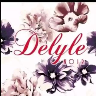 デイライルノアール(Delyle NOIR)のあおい様専用(その他)