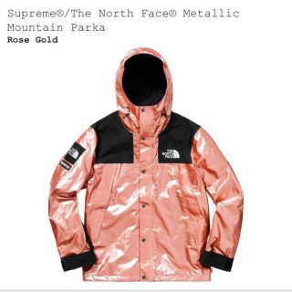 シュプリーム(Supreme)のSupreme THE NORTH FACE マウンテンパーカー L(マウンテンパーカー)