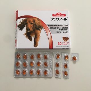 アンチノール 22カプセル(犬)