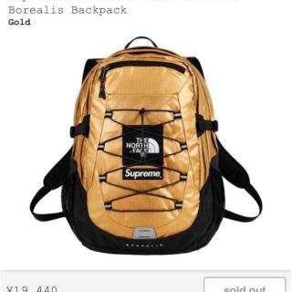 シュプリーム(Supreme)の雅。さん supreme Metallic Borealis Backpack (バッグパック/リュック)