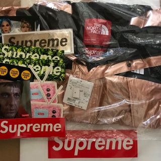 シュプリーム(Supreme)のsupreme TNF metallic mountain parka(マウンテンパーカー)