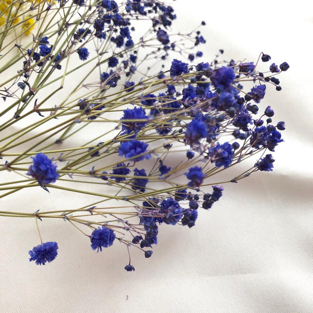 ドライフラワー❁かすみ草 3色セット カスミソウ ハーバリウム スワッグ 花材 ハンドメイドのフラワー/ガーデン(ドライフラワー)の商品写真