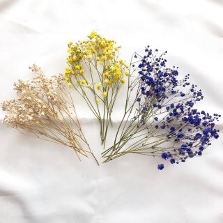 ドライフラワー❁かすみ草 3色セット カスミソウ ハーバリウム スワッグ 花材(ドライフラワー)