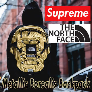 シュプリーム(Supreme)のSupreme x North Face Backpack(バッグパック/リュック)