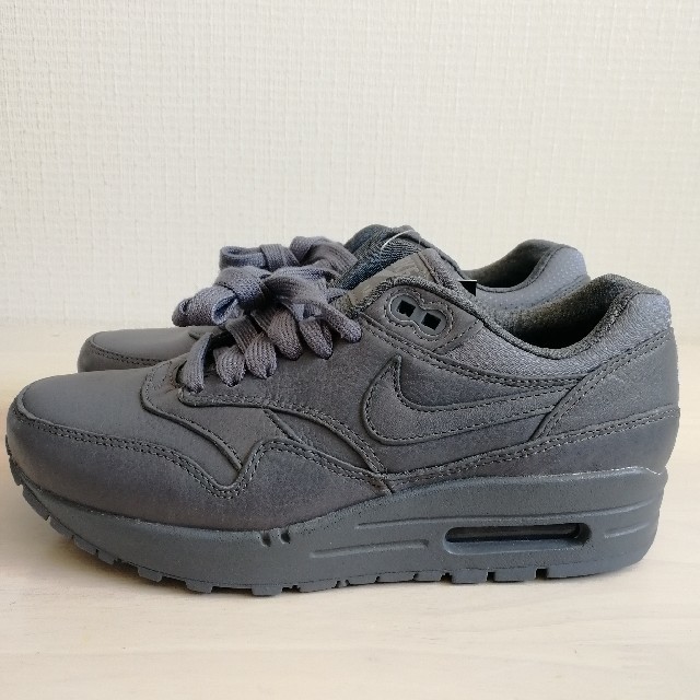 NIKE(ナイキ)のナイキ AIR MAX 1 PINNACLE エアマックス 1 ピナクル レディースの靴/シューズ(スニーカー)の商品写真