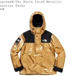 シュプリーム(Supreme)のsupreme tnf metallic mountain parka(マウンテンパーカー)