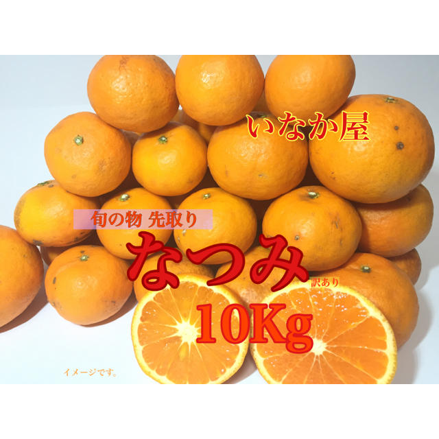 訳あり なつみ みかんの通販 By いなか屋 早ければ 2 3日で発送 手頃な価格を目指しています ラクマ 訳あり なつみ みかんの通販 By いなか屋 早ければ 2 3日で発送 手頃な価格を目指しています ラクマ